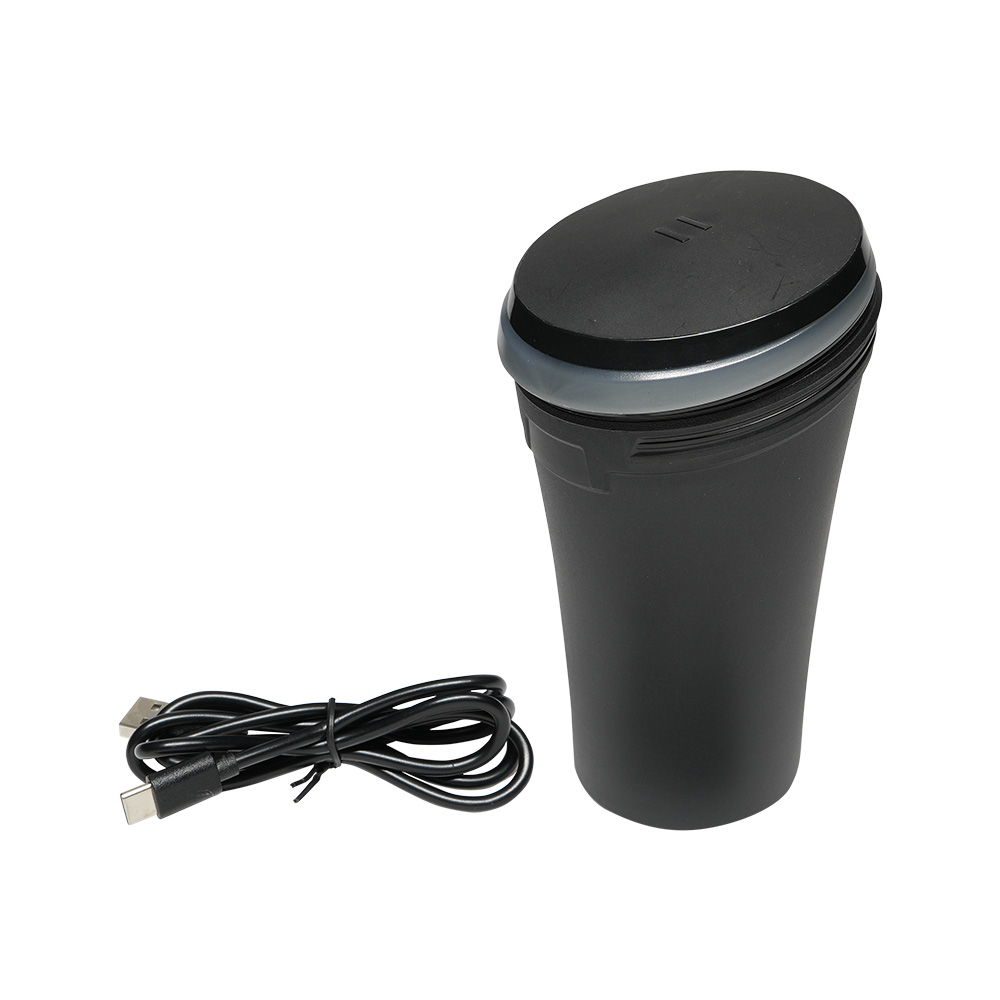 ダンシングイルミ アッシュ